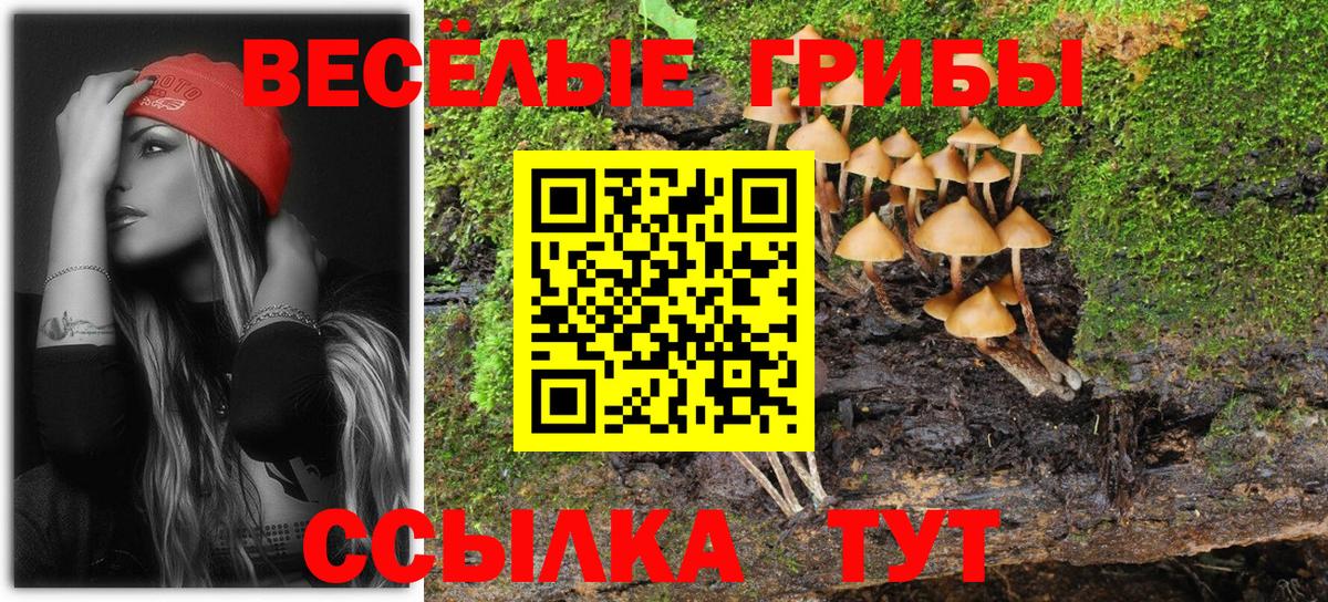 Галлюциногенные грибы Psilocybe Тавда